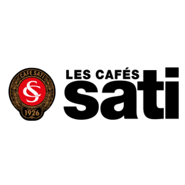 GROUPE SATI LOGO