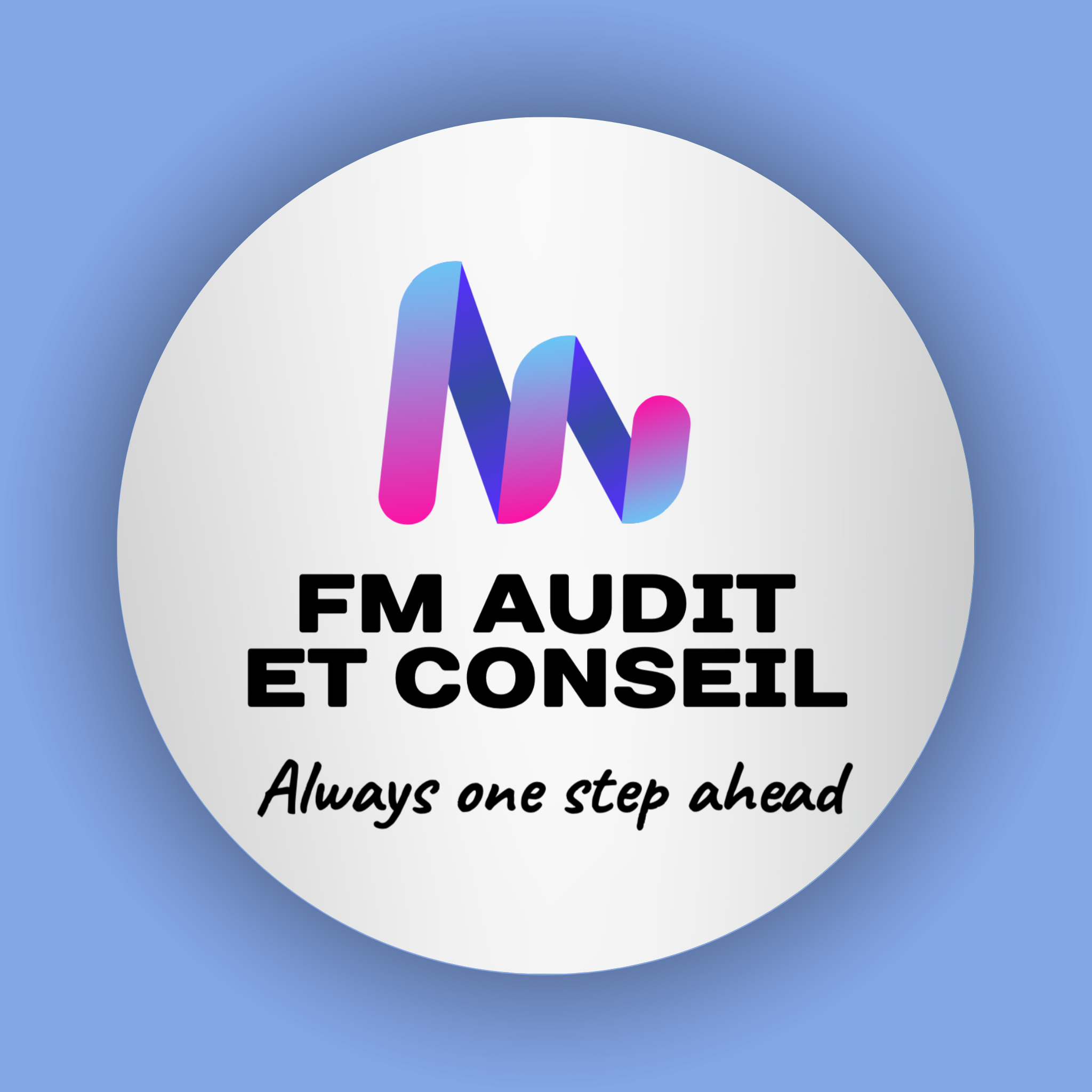 fm_audit_et_conseil